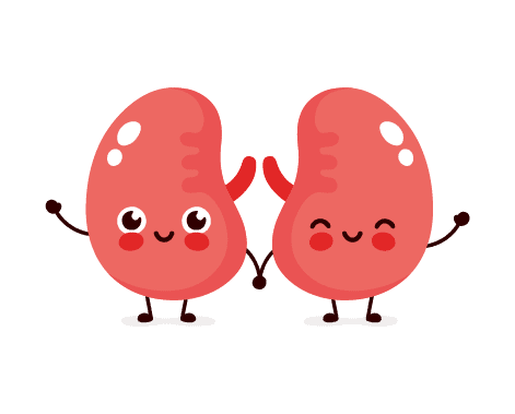 La metformina daña los riñones